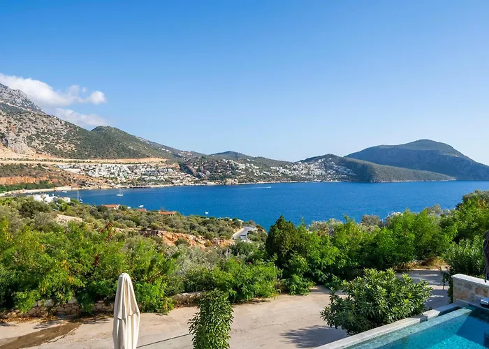 Arden Ege Kalkan *