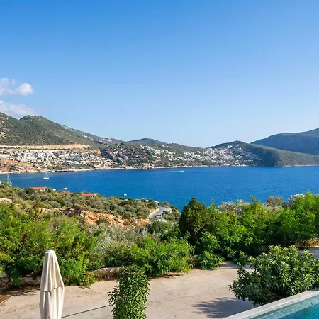 Arden Ege Kalkan *